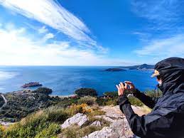 Culinary Adventures: A Global Tour